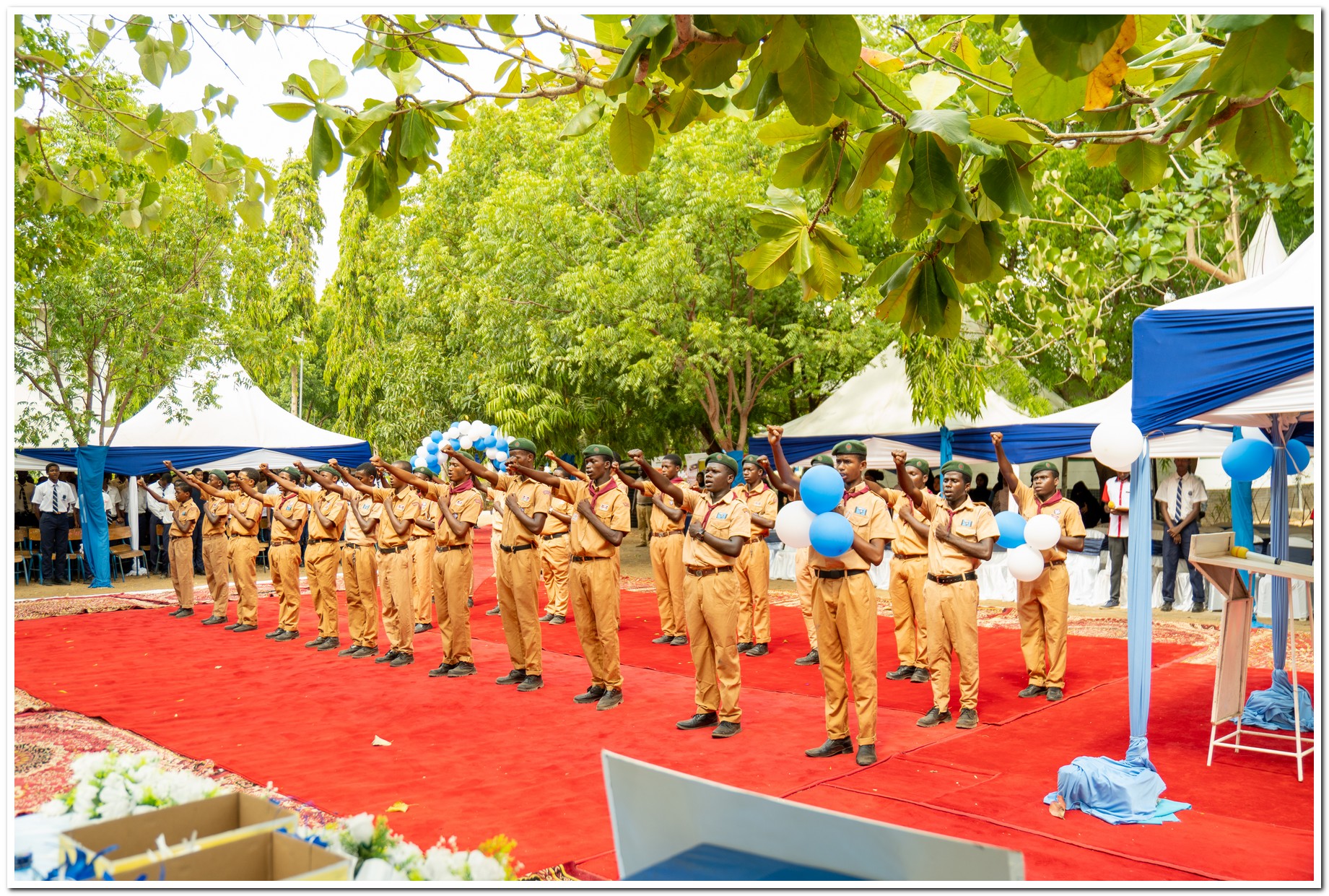 Agricultural Assistance