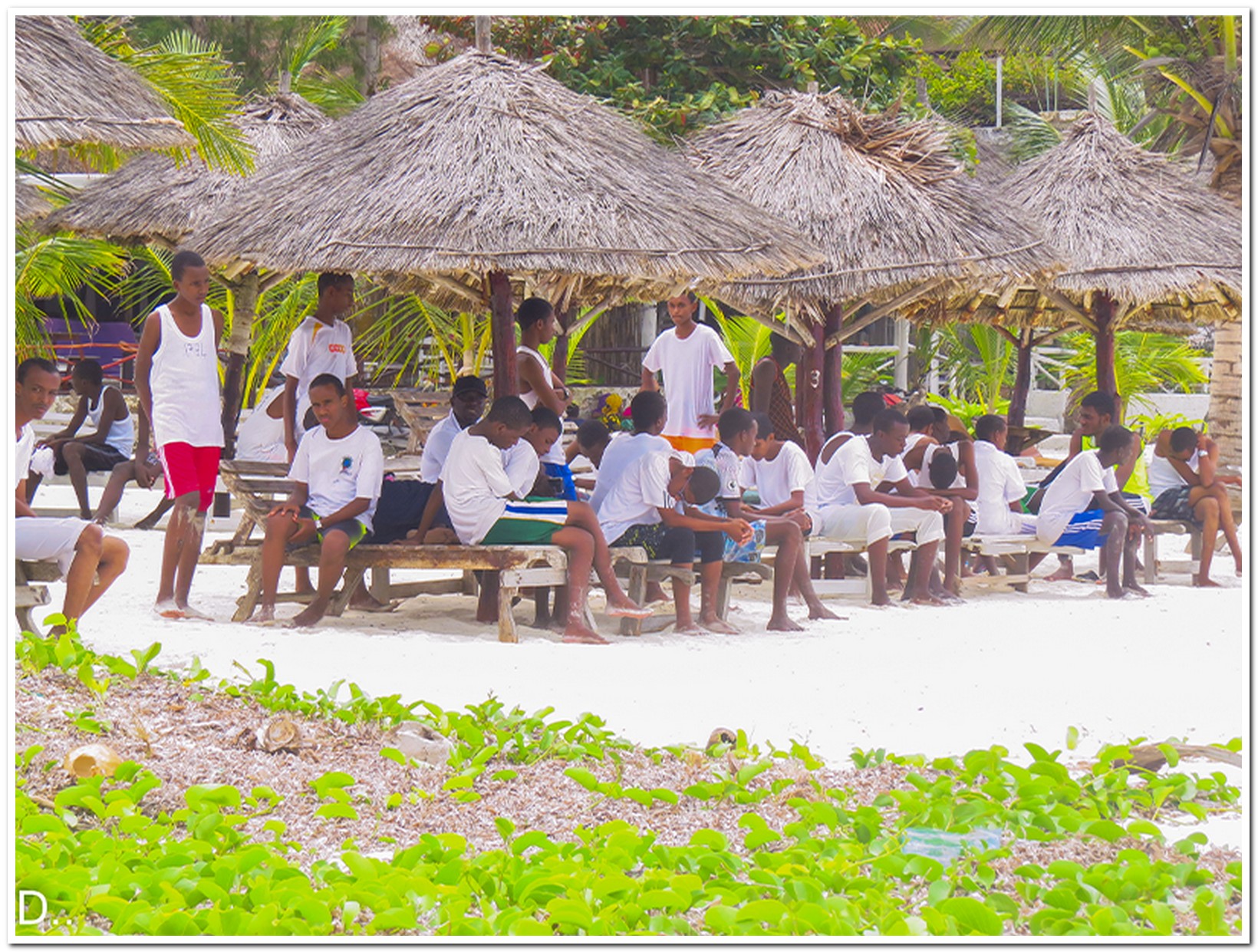 Agricultural Assistance